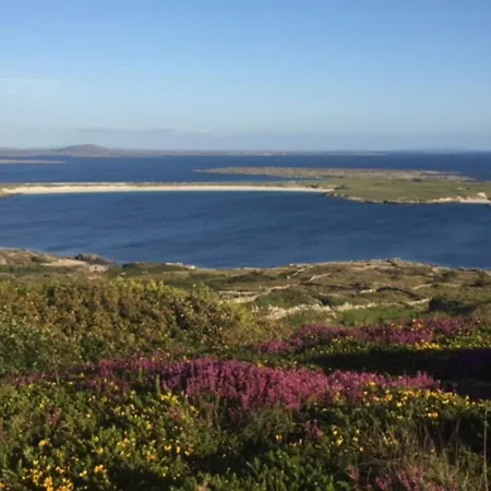 Errisbeg Bed + Breakfast Nocleg ze śniadaniem Roundstone