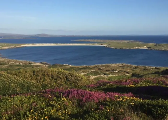 Errisbeg Bed + Breakfast Oda ve Kahvaltı Roundstone